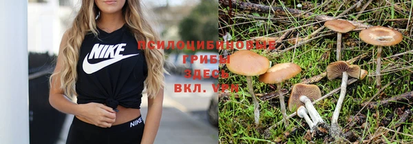 амф Алексеевка