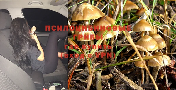 дурь Алексин